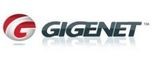 GigeNET Hosting